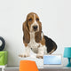 Basset Hound Wall Decal