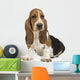Basset Hound Wall Decal