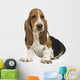 Basset Hound Wall Decal