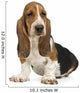 Basset Hound Wall Decal