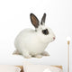 Rabbit Wall Decal