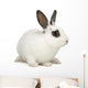Rabbit Wall Decal