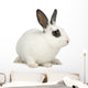 Rabbit Wall Decal