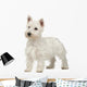 West Highland White Terrier Wall Decal