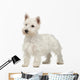 West Highland White Terrier Wall Decal
