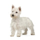 West Highland White Terrier Wall Decal