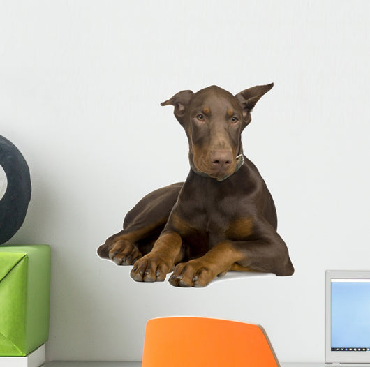 Doberman Pinscher 4 Months Wall Decal