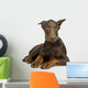 Doberman Pinscher 4 Months Wall Decal
