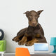 Doberman Pinscher 4 Months Wall Decal