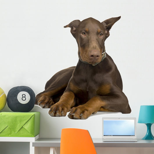 Doberman Pinscher 4 Months Wall Decal