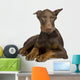 Doberman Pinscher 4 Months Wall Decal