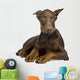 Doberman Pinscher 4 Months Wall Decal