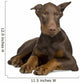 Doberman Pinscher 4 Months Wall Decal