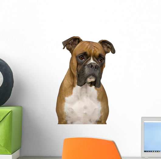 Boxer Wall Decal