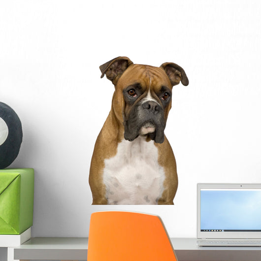 Boxer Wall Decal