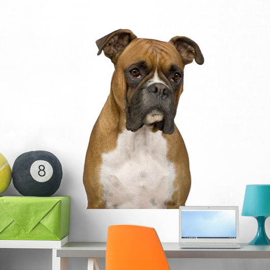 Boxer Wall Decal