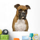 Boxer Wall Decal