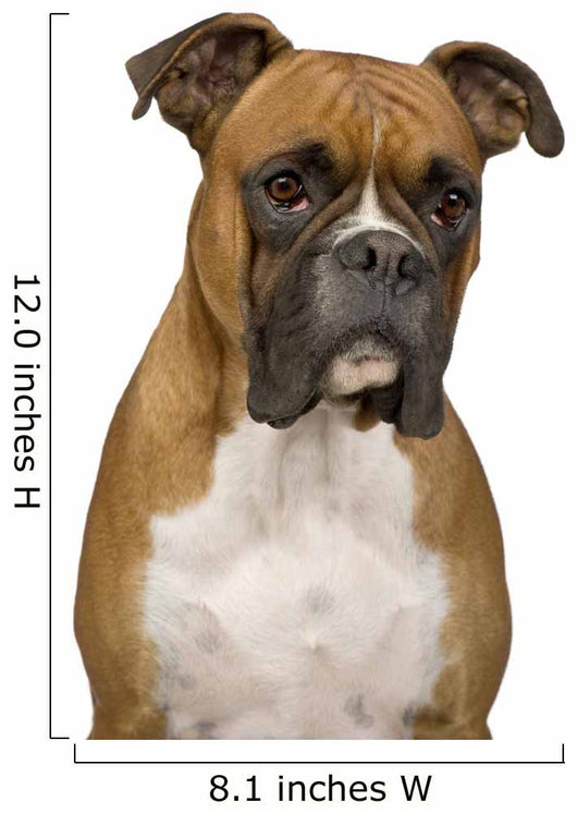 Boxer Wall Decal
