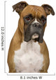 Boxer Wall Decal