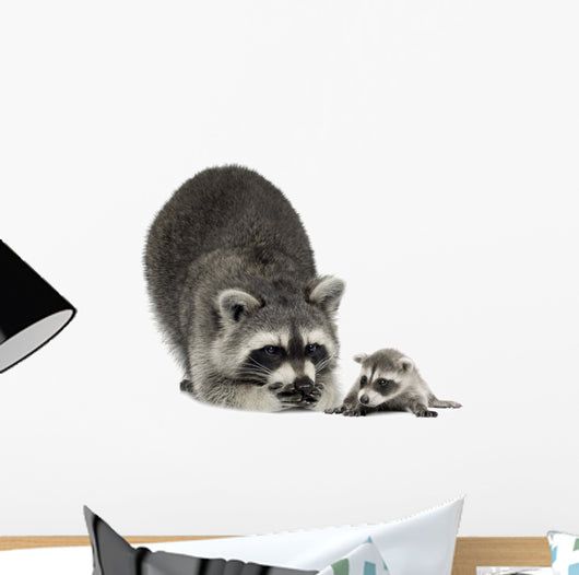 Raccoon and Her Baby Wall Decal