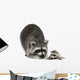 Raccoon and Her Baby Wall Decal