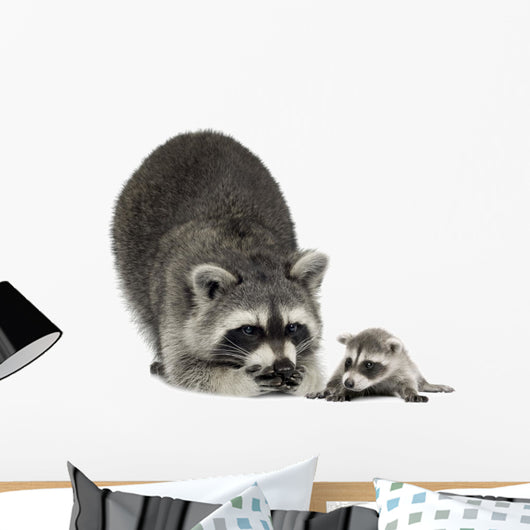 Raccoon and Her Baby Wall Decal