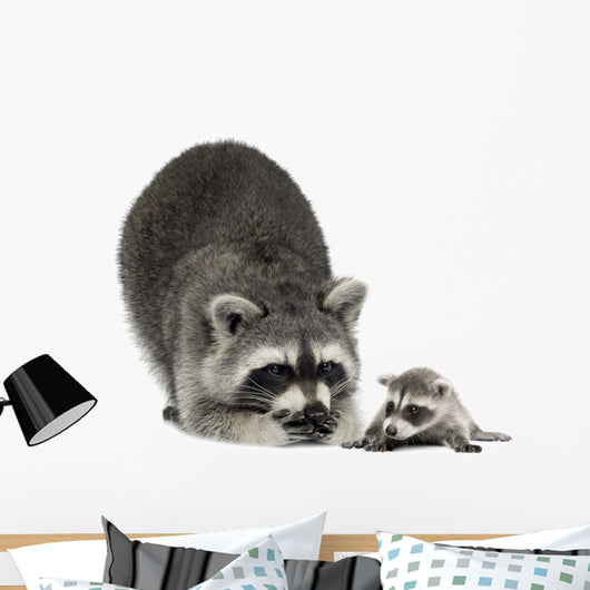 Raccoon and Her Baby Wall Decal