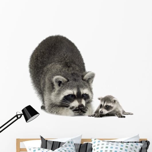 Raccoon and Her Baby Wall Decal
