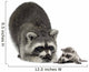 Raccoon and Her Baby Wall Decal
