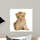 Lion Cub 6 Weeks Wall Decal