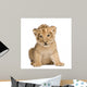Lion Cub 6 Weeks Wall Decal