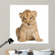 Lion Cub 6 Weeks Wall Decal
