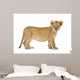 Lion Cub Wall Decal
