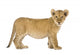 Lion Cub Wall Decal