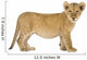 Lion Cub Wall Decal