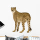 Three Fourths Cheetah Wall Decal