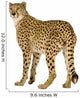 Three Fourths Cheetah Wall Decal