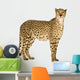 Standing Side Cheetah Wall Decal