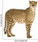 Standing Side Cheetah Wall Decal