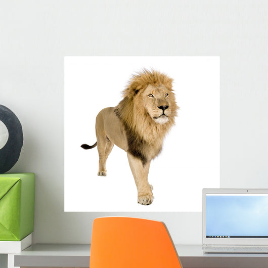 Male Lion Wall Decal