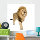 Male Lion Wall Decal