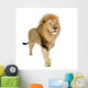 Male Lion Wall Decal