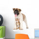 Japanese Akita Inu Puppy Wall Decal