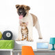 Japanese Akita Inu Puppy Wall Decal