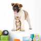 Japanese Akita Inu Puppy Wall Decal