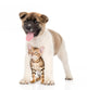 Japanese Akita Inu Puppy Wall Decal