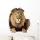 Alert Male Lion Wall Decal