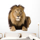 Alert Male Lion Wall Decal