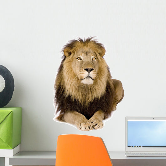 Lion 4 and Half Wall Decal