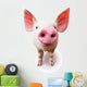 Pig Farm Wall Decal